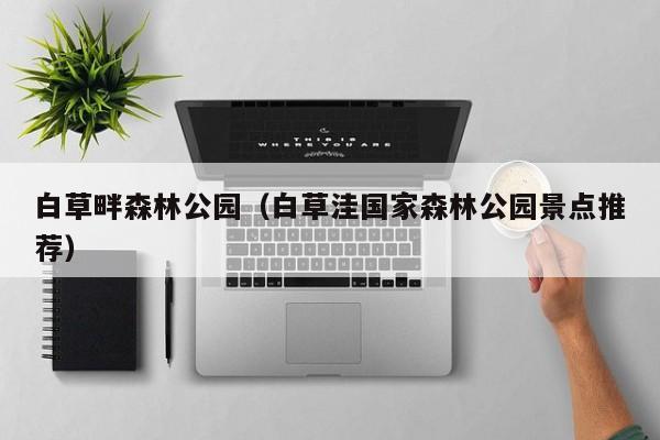 白草畔森林公园(白草洼国家森林公园景点推荐)