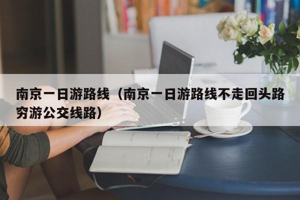 南京一日游路线(南京一日游路线不走回头路穷游公交线路)