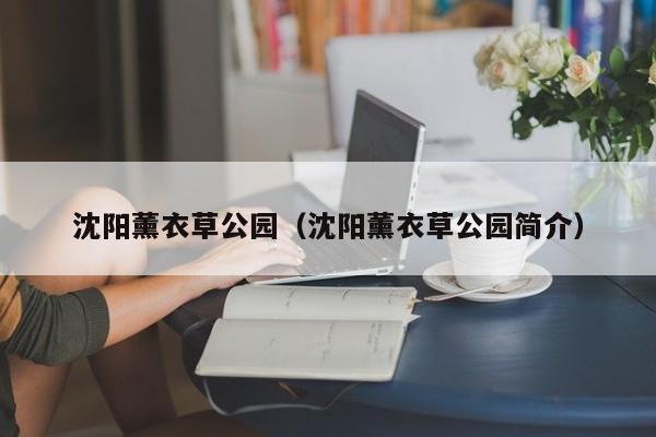 沈阳薰衣草公园(沈阳薰衣草公园简介)