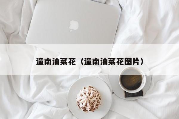 潼南油菜花(潼南油菜花图片)