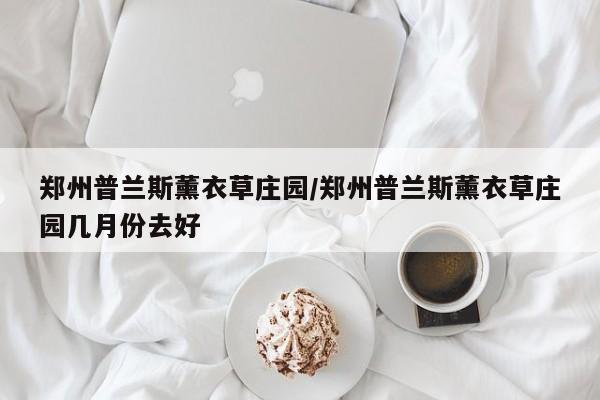 郑州普兰斯薰衣草庄园/郑州普兰斯薰衣草庄园几月份去好