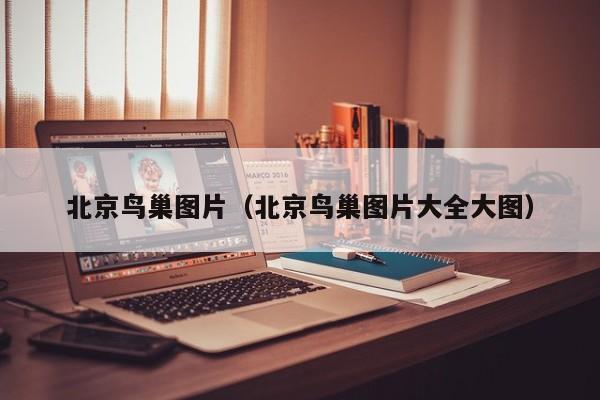 北京鸟巢图片(北京鸟巢图片大全大图)